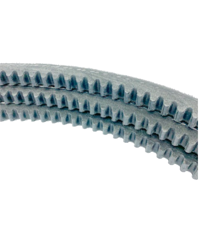 Rotor belt TW230 HBp/ VTRp
