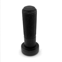 Bearing housing bolt M10 x 1.25 x 50 SKT CAP 